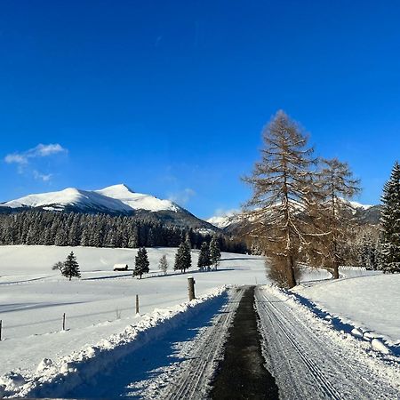 Chalet Am Teich Familie Gaenser Villa Feistritz am Kammersberg Екстериор снимка