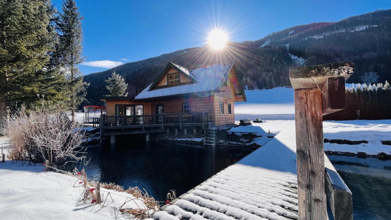 Chalet Am Teich Familie Gaenser Villa Feistritz am Kammersberg Екстериор снимка