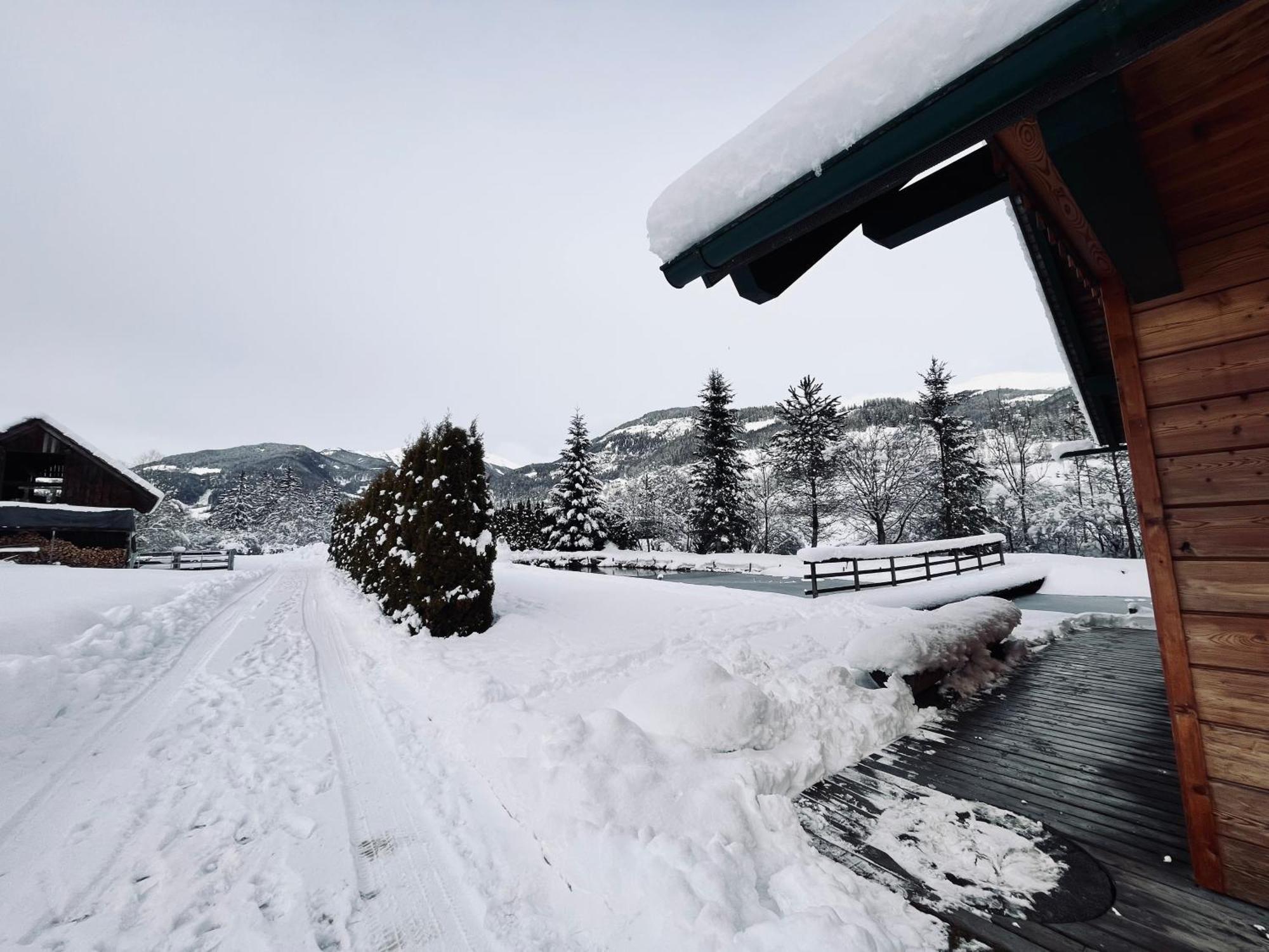 Chalet Am Teich Familie Gaenser Villa Feistritz am Kammersberg Екстериор снимка