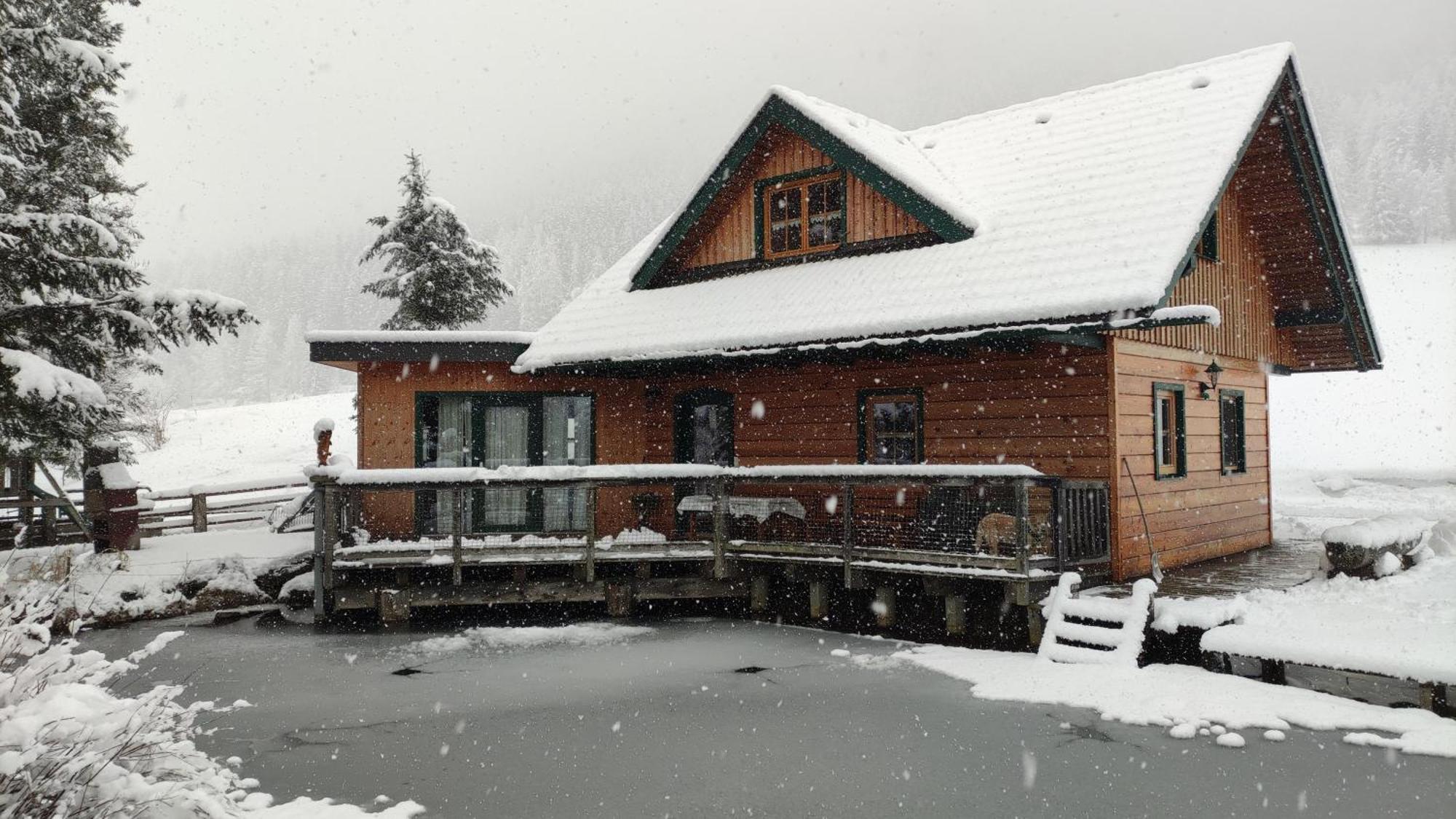 Chalet Am Teich Familie Gaenser Villa Feistritz am Kammersberg Екстериор снимка
